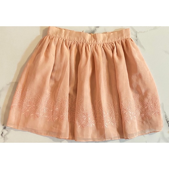 Pink Skirt - Picture 1 of 4